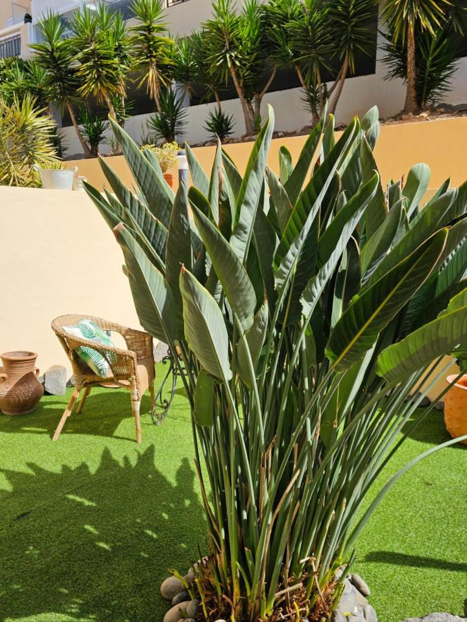 New Holiday Home Beautiful Sea View With Aircon, Costa Adeje Адехе Екстериор снимка